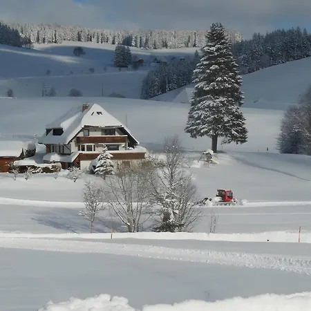 Kaltenbach Apartamento *