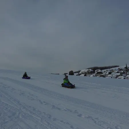 Apartamento Kaltenbach *