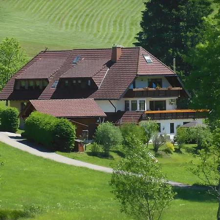 Apartment Kaltenbach Titisee-Neustadt