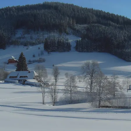 Kaltenbach Titisee-Neustadt