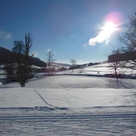 Kaltenbach * Titisee-Neustadt