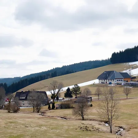 Kaltenbach * Titisee-Neustadt