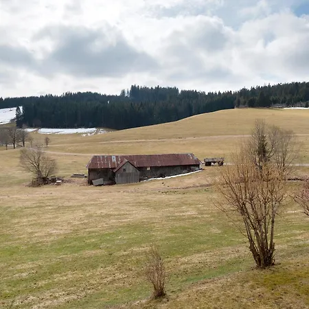 Kaltenbach Apartment *