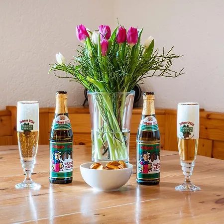 Kaltenbach Апартаменты *