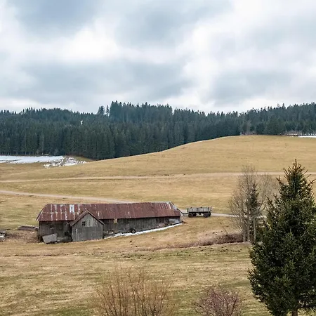 Kaltenbach * Titisee-Neustadt