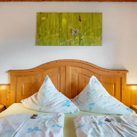 Kaltenbach Apartamento