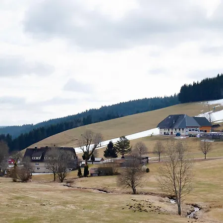 Kaltenbach Διαμέρισμα Titisee-Neustadt